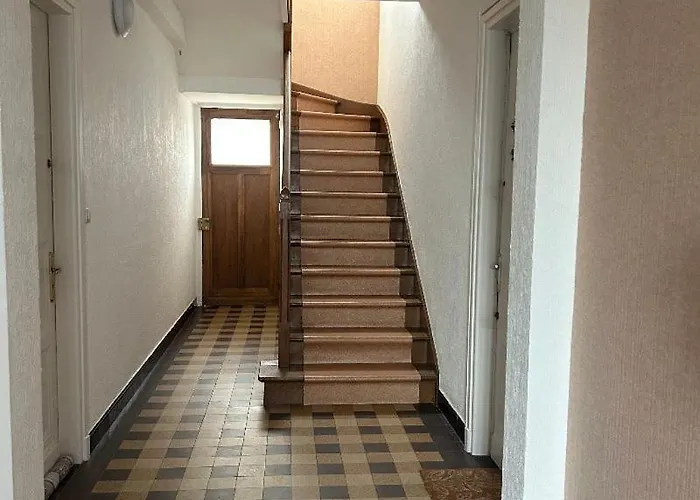 Le Face 勒波泰勒